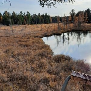 Meet your Posher, Mat